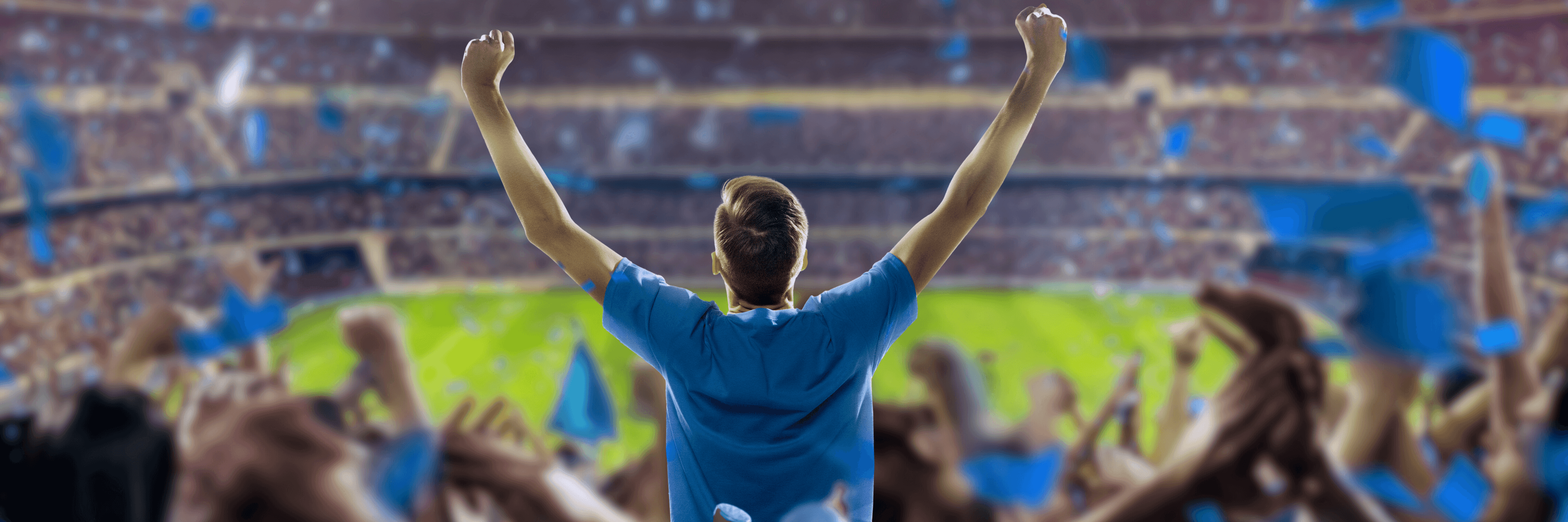 fans in the stadium